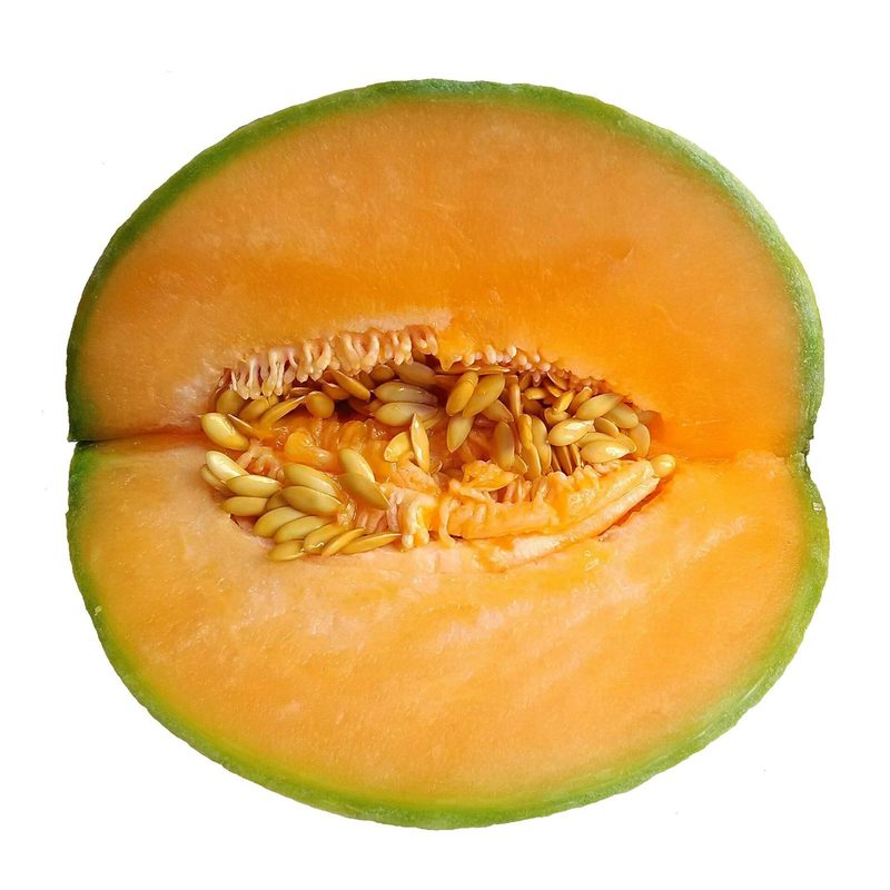 Trái dưa lưới — An Thịnh Seeds